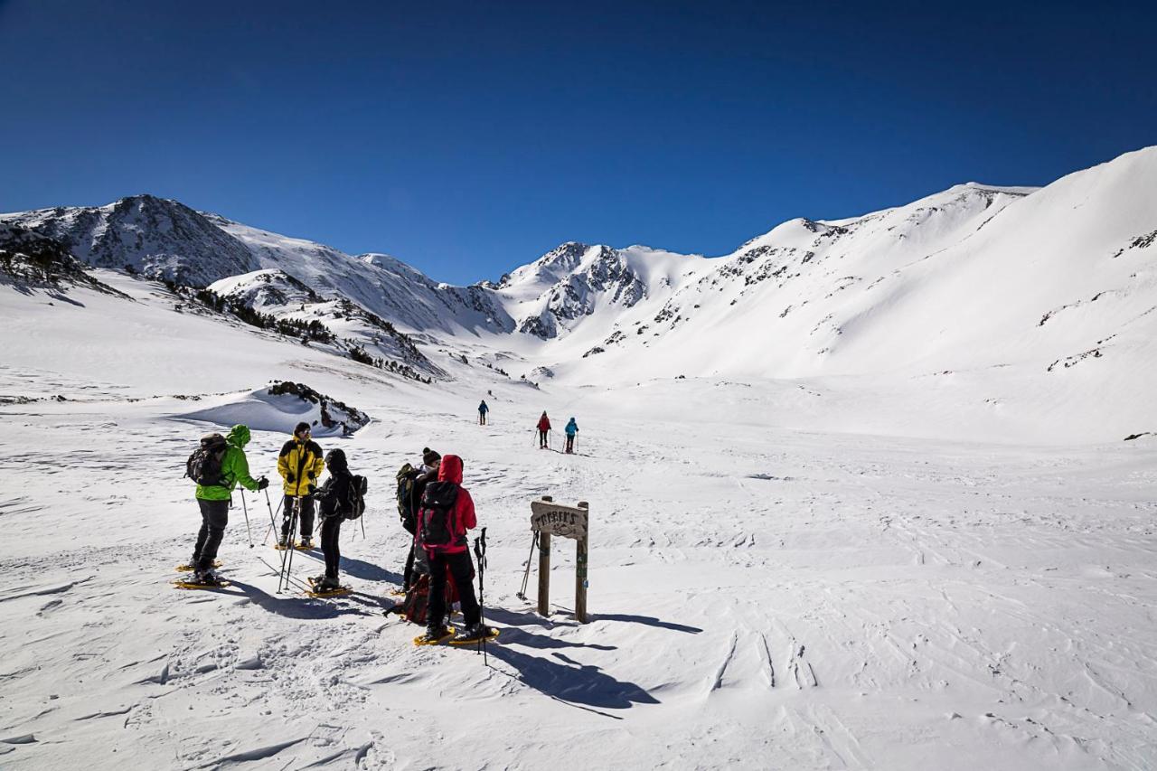 Le Chalet Du Ticou Bolquere Pyrenees 2000 المظهر الخارجي الصورة
