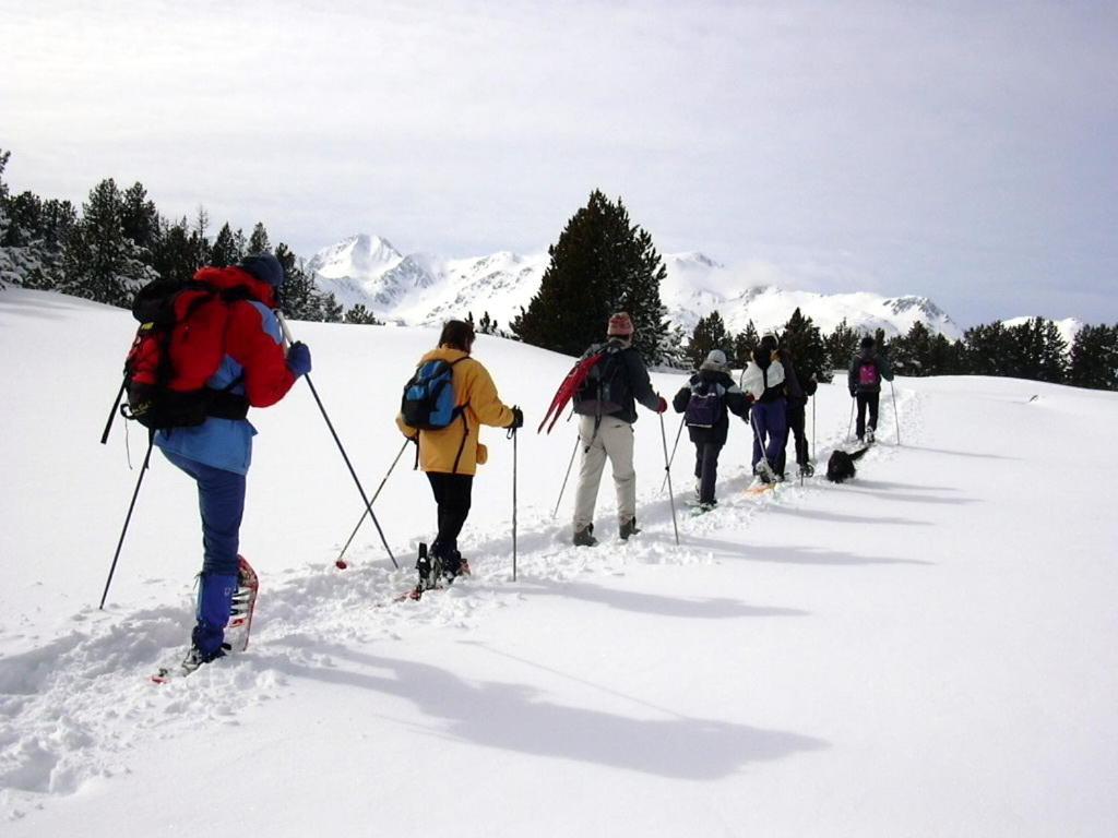 Le Chalet Du Ticou Bolquere Pyrenees 2000 المظهر الخارجي الصورة