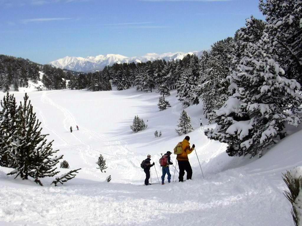 Le Chalet Du Ticou Bolquere Pyrenees 2000 المظهر الخارجي الصورة