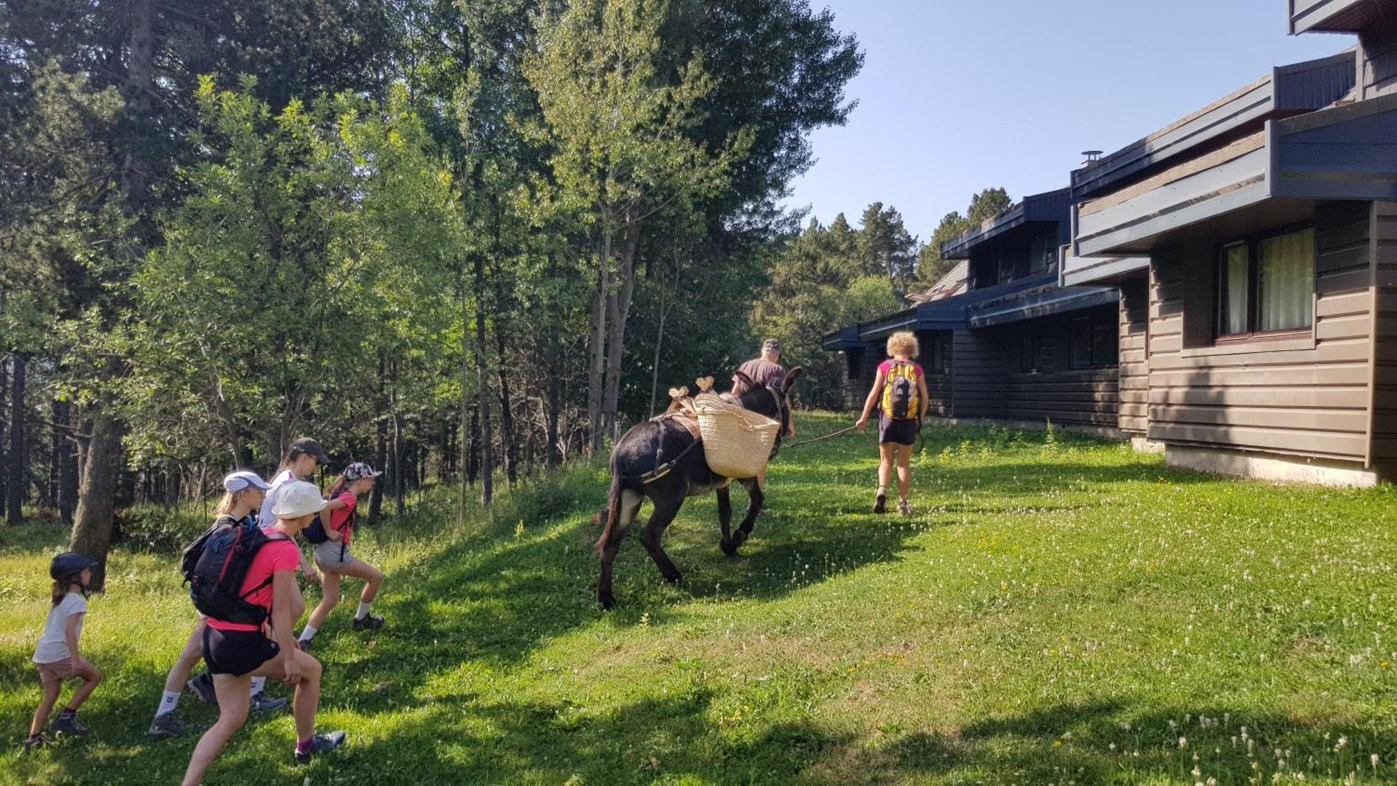 Le Chalet Du Ticou Bolquere Pyrenees 2000 المظهر الخارجي الصورة